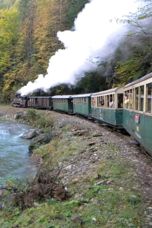 From Cluj: Rural Tour Through Maramures and Bukovina - Experience Highlights