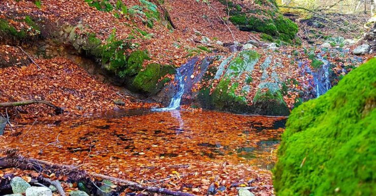From Cluj: Two Days of Adventure Borzesti Gorge and Thegiant - Itinerary Highlights