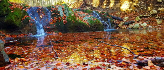 From Cluj: Two Days of Adventure Borzesti Gorge and Thegiant - Accommodation Options