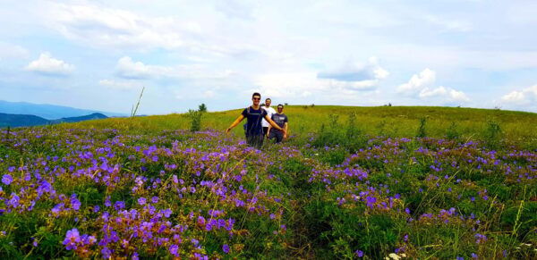 From Cluj: Two Days of Adventure Borzesti Gorge and Thegiant - Booking Information and Tips