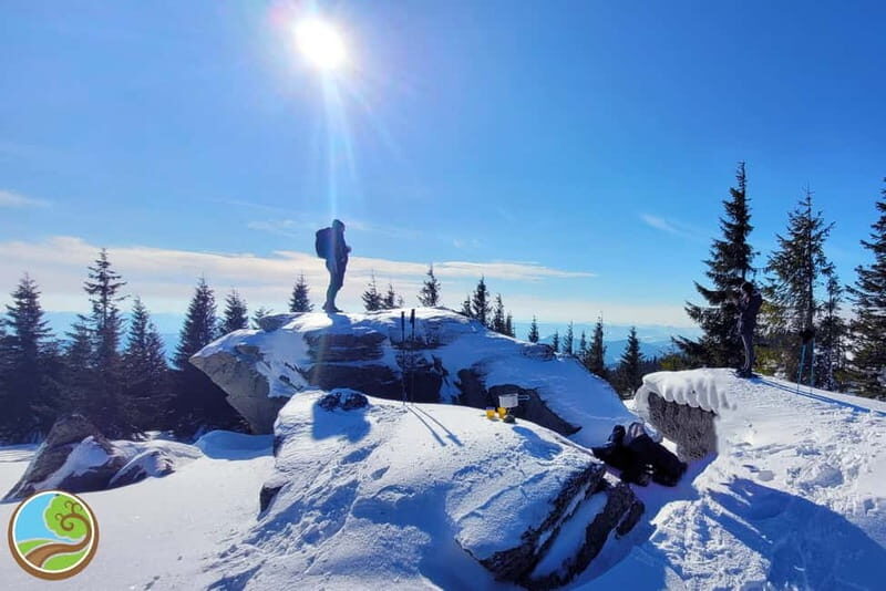 From Cluj: Winter Walking Trip on the Great Mountain - What Makes This Trip Special?