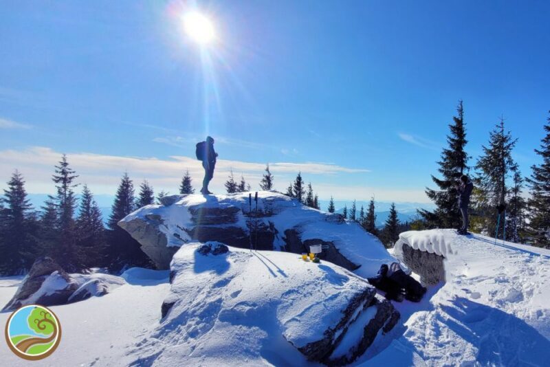 From Cluj: Winter Walking Trip on the Great Mountain - Practical Tips for Future Hikers