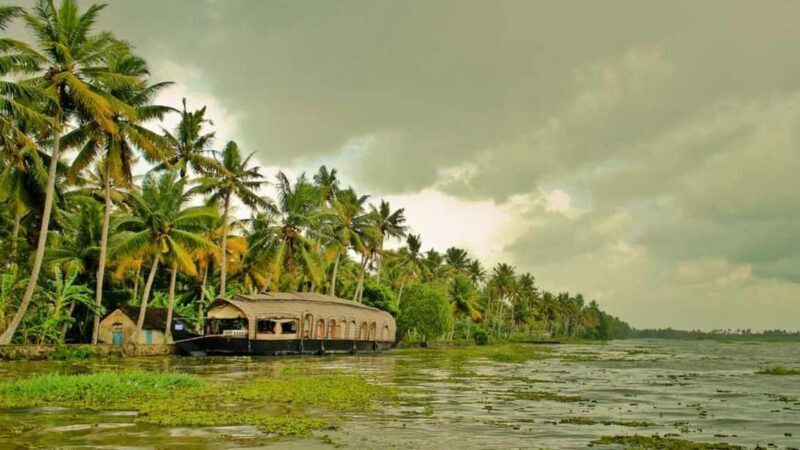 From Cochin : Alleppey Houseboat day cruise - Round trip - Practical Details and What You Should Know