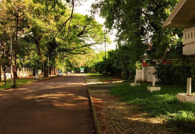 From Cochin: Fort Kochi and Mattancherry Sightseeing Tour - Activity Details