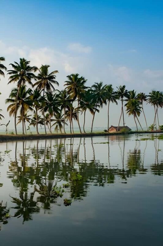 From Cochin Guided Tour of Fort Kochi with Drop at Kumarakom - Good To Know