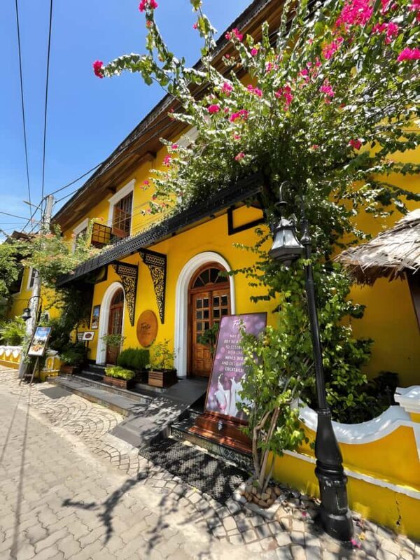 From Cochin Guided Tour of Fort Kochi with Drop at Kumarakom - A Deep Dive into the Experience