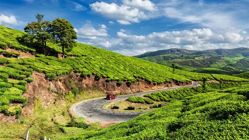 From Cochin: Munnar & Alleppey Private Tour with Hotels + Houseboat - Day 1: Waterfalls on the climb to Munnar