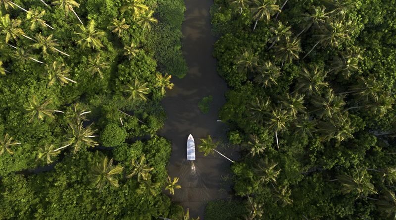 From Cochin: Munnar & Alleppey Private Tour with Hotels + Houseboat - Day 4: Back to Cochin