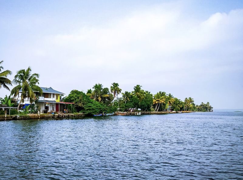 From Cochin: Munnar & Alleppey Private Tour with Hotels + Houseboat - What the private format does well