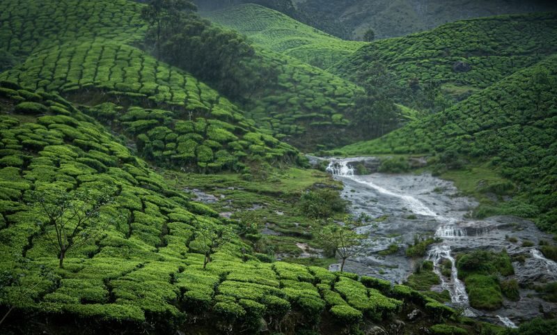 From Cochin: Munnar & Alleppey Private Tour with Hotels + Houseboat - Who will enjoy this route most