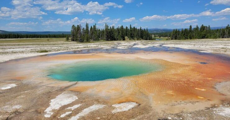 From Cody: Yellowstone National Park Private Day Tour - Activity Details