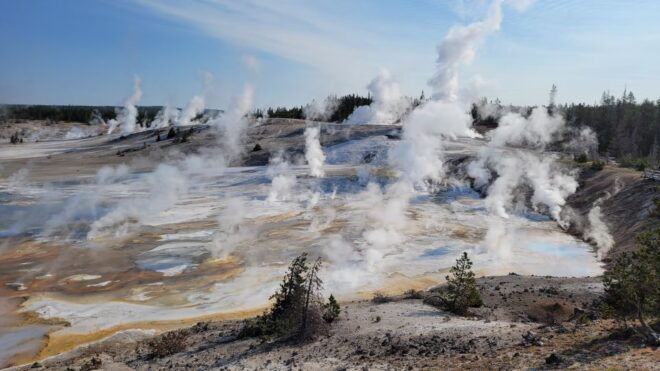 From Cody: Yellowstone National Park Private Day Tour - Highlights