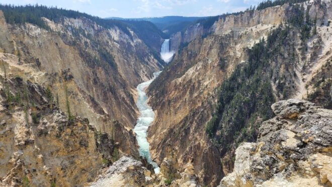 From Cody: Yellowstone National Park Private Day Tour - Inclusions