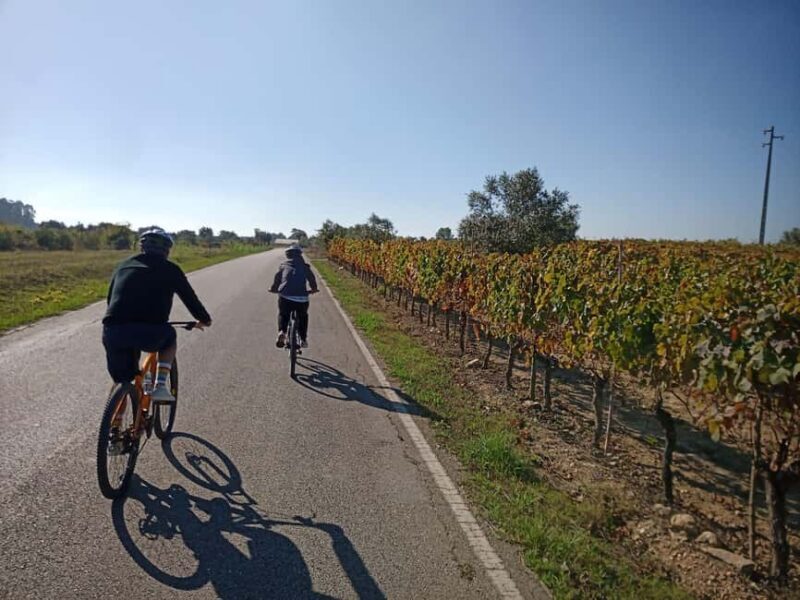 From Coimbra: Cycling in the Vineyards of Bairrada - Good To Know
