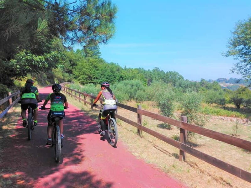 From Coimbra: Cycling on the Dão Ecotrail - Good To Know