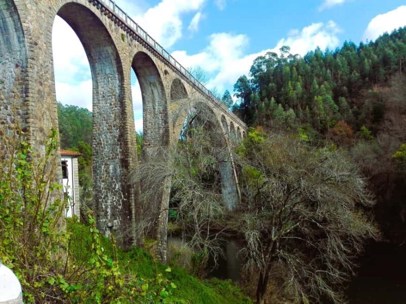 From Coimbra: Cycling on the Vouga Eco-Trail - Good To Know