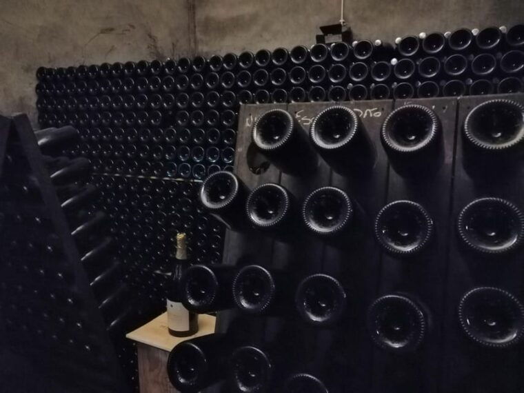 From Coimbra: Dão Wine Route Experience - Practical Details