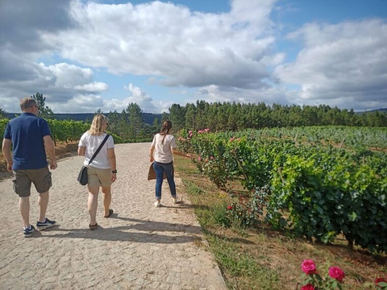 From Coimbra: Dão Wine Route Experience - FAQ