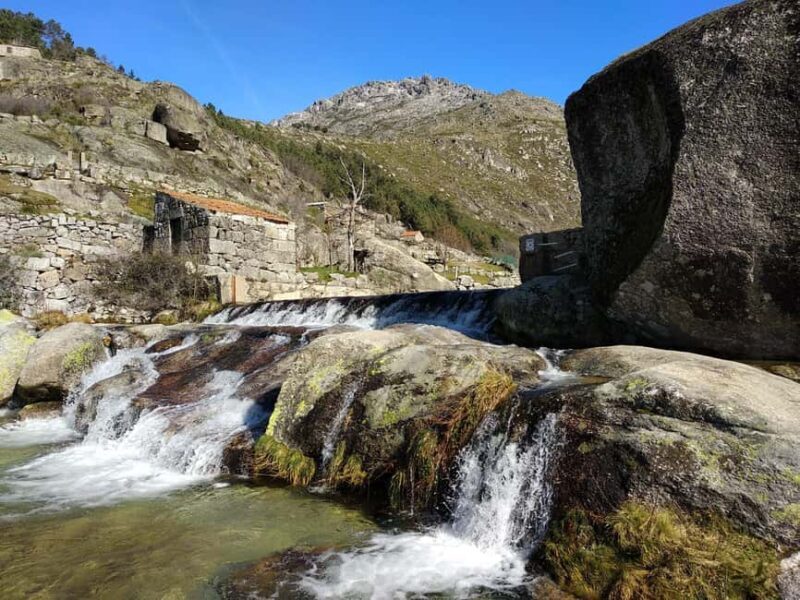 From Coimbra: Serra da Estrela Natural Park Day Trip - Scenic Stops and Cultural Insights