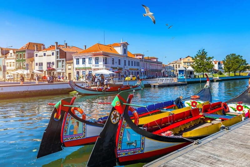 From Coimbra: Tour to Aveiro, Costa Nova beach, and Moliceiro boat ride - Returning to Coimbra