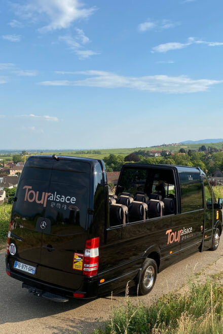 From Colmar: Alsace Medieval and Wine Tasting Day Tour - Inclusions and Accessibility