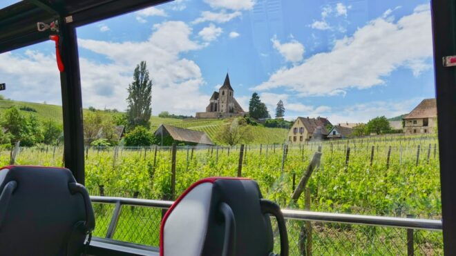 From Colmar: Alsace Medieval and Wine Tasting Day Tour - Customer Reviews