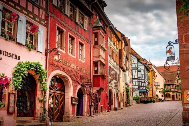 From Colmar: Alsace Wine Route Tour Half Day - Transportation and Driver