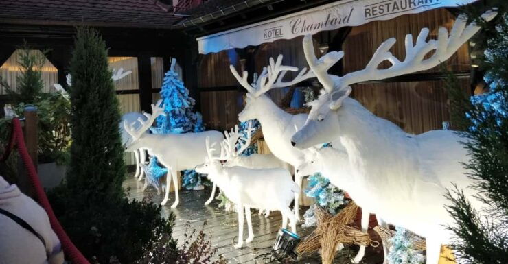 From Colmar: Christmas Markets Across 3 Borders - Itinerary Highlights
