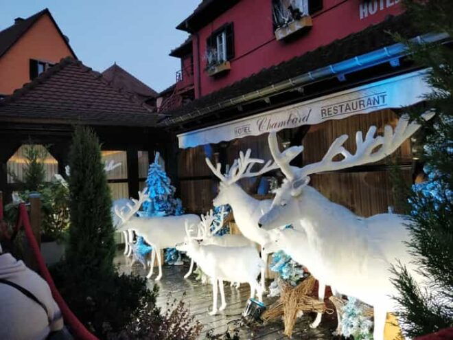 From Colmar: Christmas Markets Across 3 Borders - Customer Reviews and Ratings