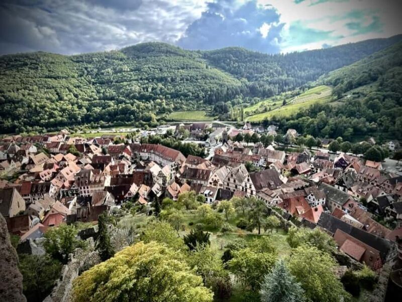 From Colmar: Private excursion to Alsace villages and wines with a local guide - Exploring the Best of Alsace: Private Village and Wine Tour from Colmar