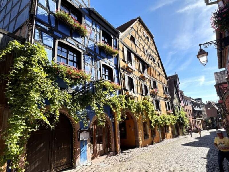 From Colmar: Private excursion to Alsace villages and wines with a local guide - What Sets This Tour Apart