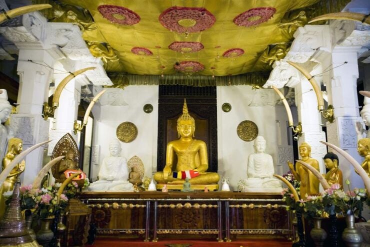 From Colombo: 2-Day All-Inclusive Kandy & Nuwara Eliya Tour - Experience Highlights