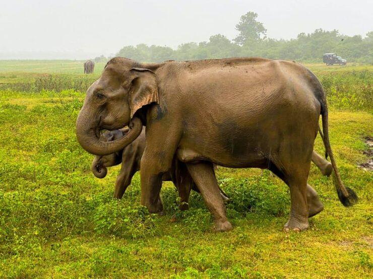 From Colombo: 2-Day Cultural Triangle Tour With Sigiriya - Itinerary Breakdown