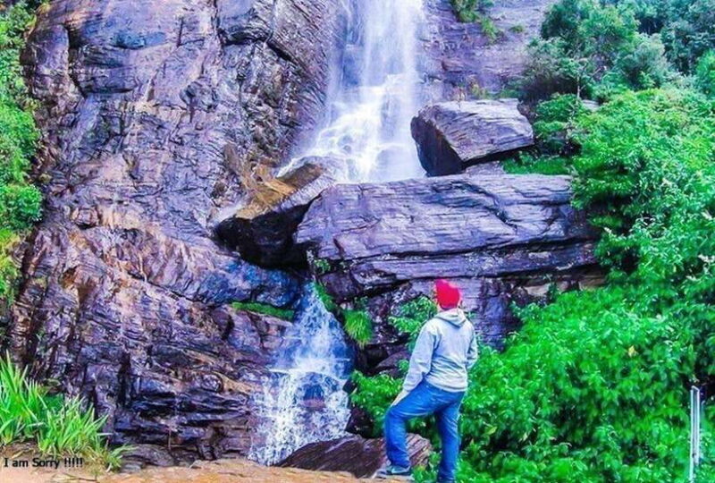 From Colombo: 2-Day Tour to Nuwara Eliya and Kandy - What to Expect from the Tour