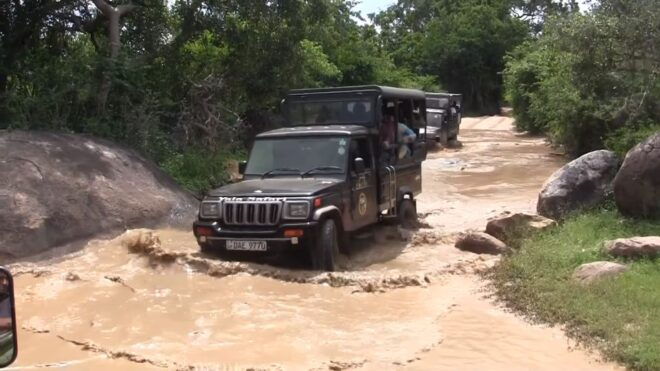 From Colombo: 2-Day Tour With Jungle Trek & National Park - Cancellation Policy