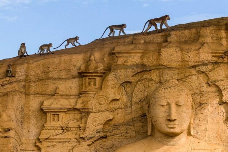 From Colombo: 4-Day Essence of Sri Lanka Heritage Tour - Tour Details