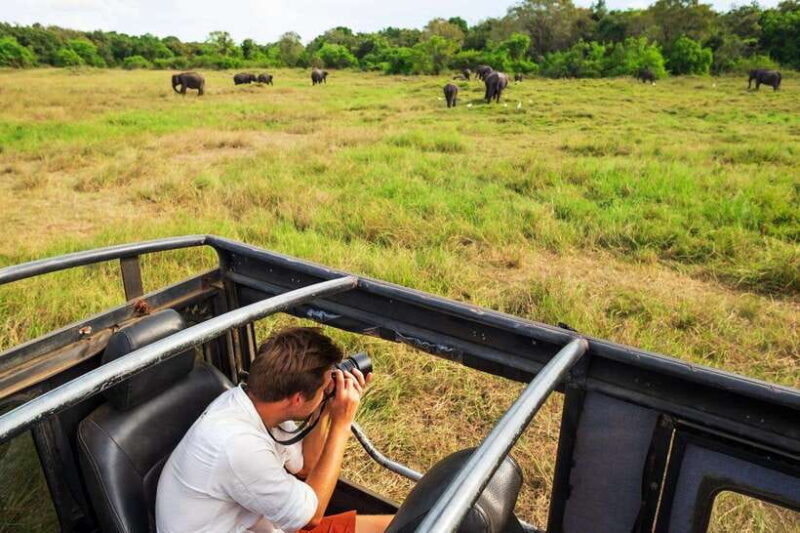 From Colombo: 4-Day Sri Lanka Tour with Elephant Orphanage - A Deep Dive into the 4-Day Journey