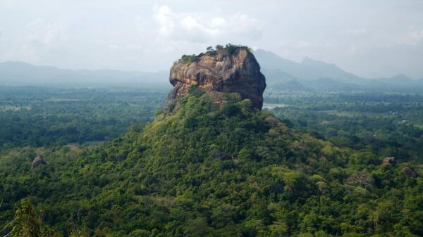 From Colombo: 5-Day Sri Lanka Cultural Highlights Tour - Why Choose This Tour