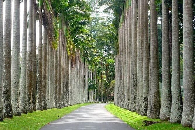 From Colombo Airport to Sigiriya or Kandy Private Transfer - Cost & Value