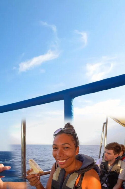From Colombo/Bentota/Galle to Whale Watching Mirissa Daytour - Tour Overview and Pricing