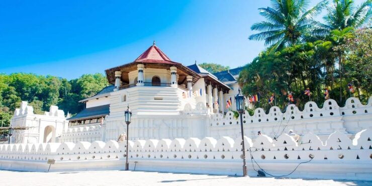 From Colombo : Day Trip to Kandy/ Pinnwala/ Royal Gardens - Good To Know