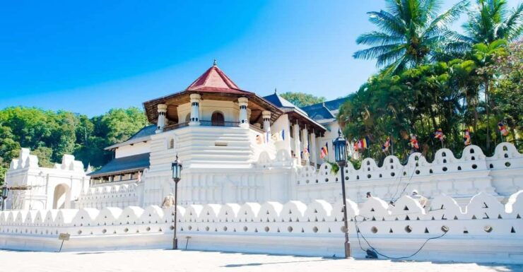 From Colombo : Day Trip to Kandy/ Pinnwala/ Royal Gardens - Itinerary Highlights