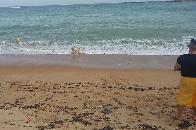 From Colombo: Full-Day Galle Tour - Galle Fort Exploration