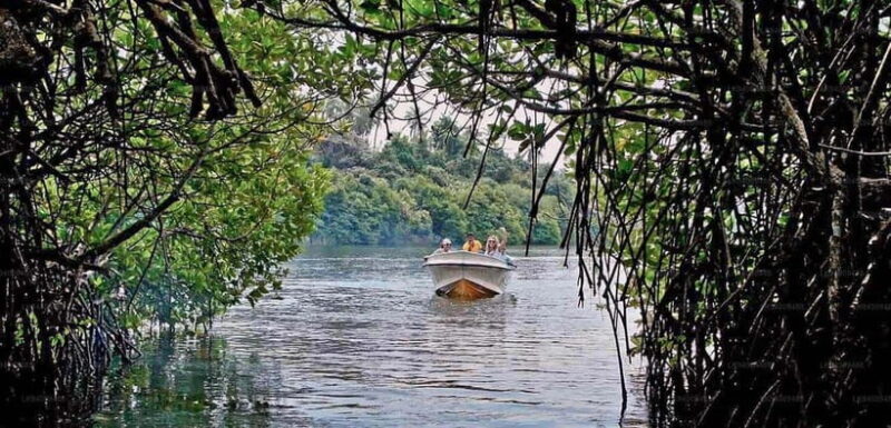 From Colombo: Galle Fort & Jungle Beach, Bentota Day Tour - Visiting the Ceylon Ayurvedic Herbal Garden
