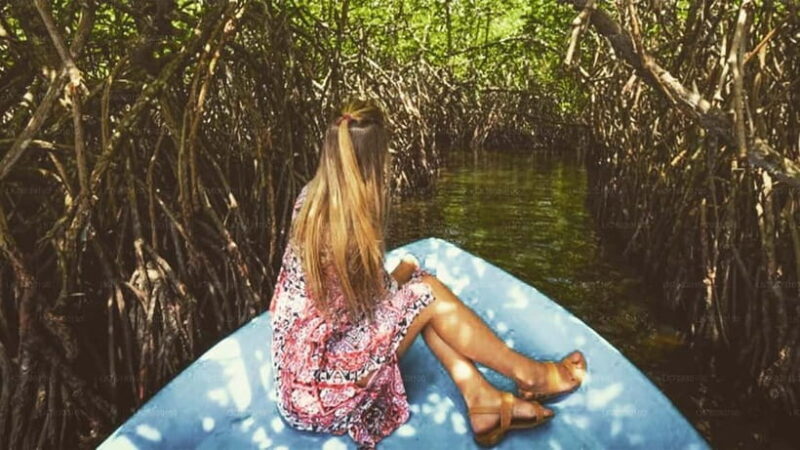 From Colombo: Galle Fort & Jungle Beach, Bentota Day Tour - What We Think Overall