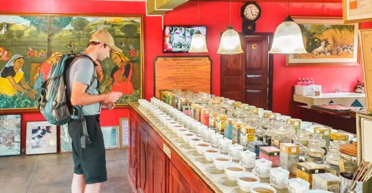 From Colombo: Handungoda, Galle, Ahangama, & Kosgoda Tour - General Information