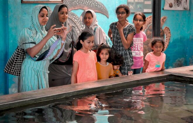 From Colombo: Handungoda, Galle, Ahangama, & Kosgoda Tour - Galle City Tour