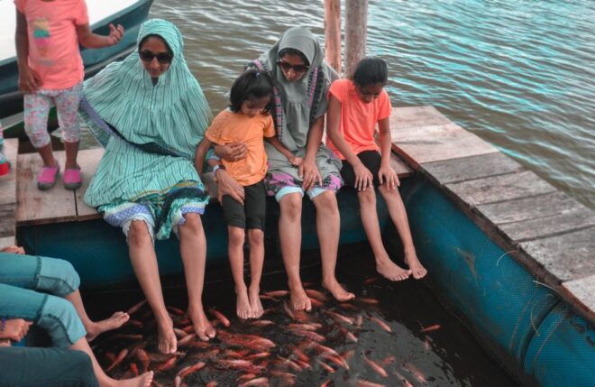 From Colombo: Handungoda, Galle, Ahangama, & Kosgoda Tour - Turtle Hatchery