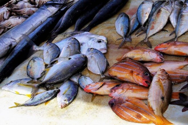 From Colombo: Hikkaduwa Village Tour With Boat Ride & BBQ - Boating Trip and Nature