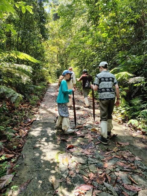 From Colombo/Kalutara: Full-Day Sinharaja Guided Eco Trek - Good To Know